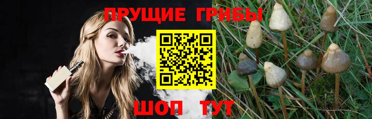 Псилоцибиновые грибы ЛСД  Вход с VPN  закладки  Муром 